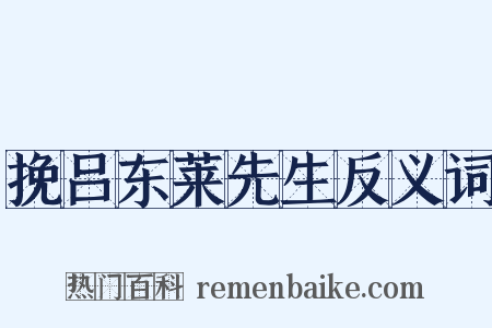 挽吕东莱先生反义词是什么意思的图片